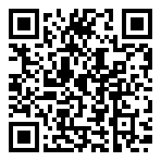 calabacín con jamón y queso curado