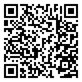 filetes rusos con arroz y patatas